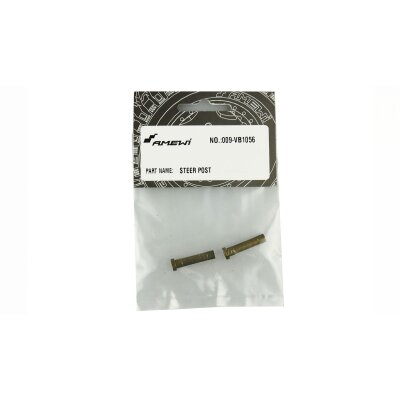 VB1056 Lenkungs Pfosten EVO-X 6000