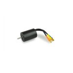 Brushless Motor 2838 1:12 Fahrzeuge