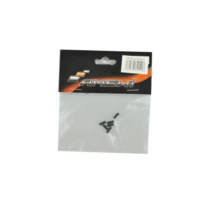 Screw set 3x8 DUNE Buggy 1:10