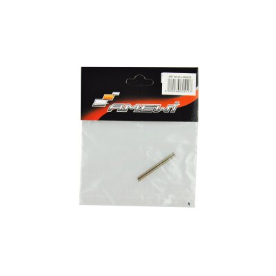 Swing arm pin 2x37 (2pcs) BX18
