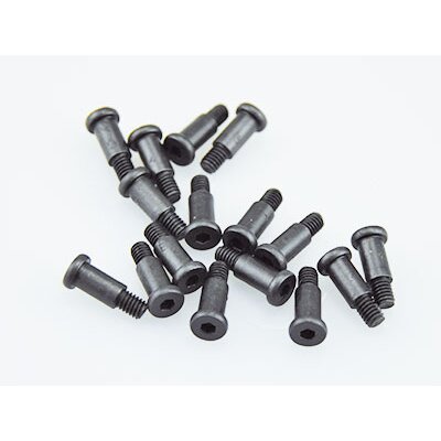 Schrauben Set für Aufhängung 1:16 Tiger