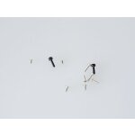 Schrauben/Screws group Xtreme