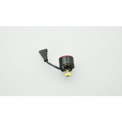Brushless Motor K120