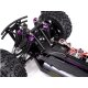 Crazist Monstertruck Brushed 1:10, 4WD, RTR