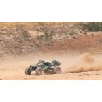 Eagle-3 4WD 1:12 Dune Buggy