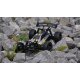 ONE-TEN 4WD Buggy brushed AMX Racing 1:10