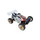 Troian Pro Buggy brushless 1:16 4WD, 2,4GHz