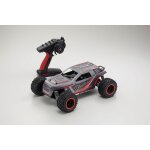 RAGE 2.0 FAZER MK2 1:10 EP 4WD READSYET Type 1
