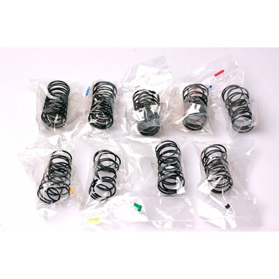 2018 S1 V3 FM Type R Front Shock Spring Set