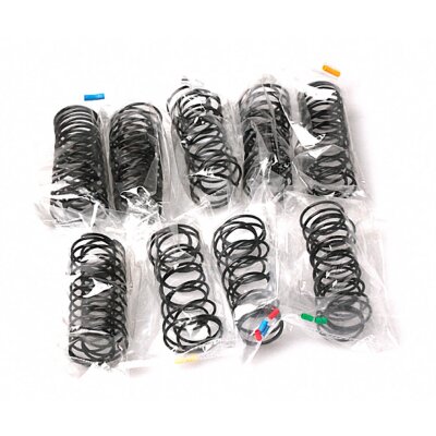 2018 S1 V3 FM Type R Rear Shock Spring Set