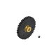 Pinion Gear 48P 39T SL