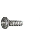 M3 Selbstschneidend Rundkopfschraube:10mm Titanium