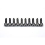 Serpent Screw allen cilinderhead M4x10 (10)