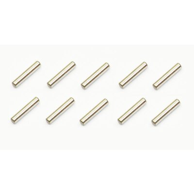 Serpent Stift 2.5x13 (10)