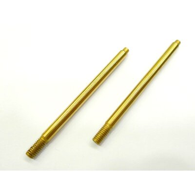 Serpent Kolbenstange TiN hinten 811 2.0