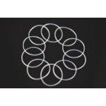 Serpent O-ring 22,5x1 Diff.gehäuse (10)