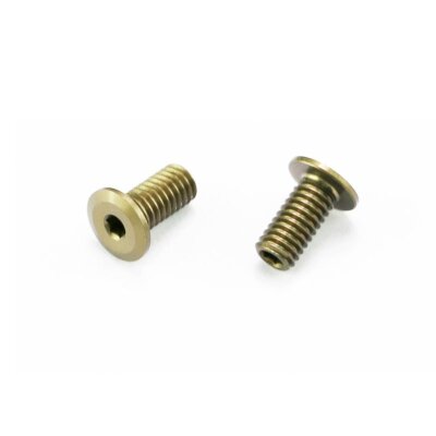 Downstop screw FR (2) S988