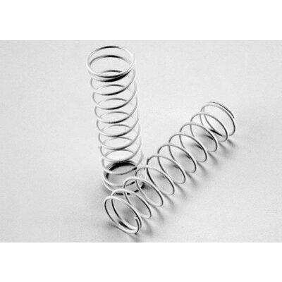 Dämpferfeder, hinten (weiß) (2)