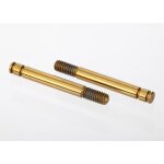 Kolbenstange GTR Dämpfer TIN-COATED (2)
